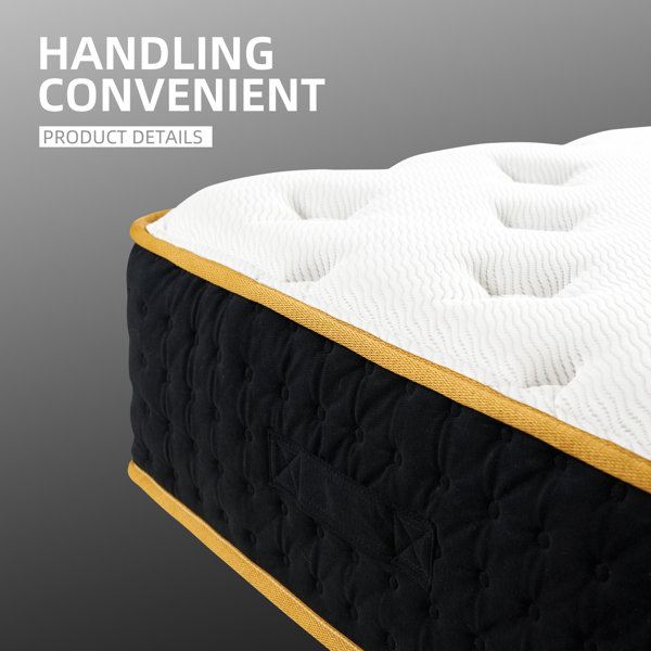 Alwyn Home Honolulu 12'' Medium Mattress & Reviews Wayfair